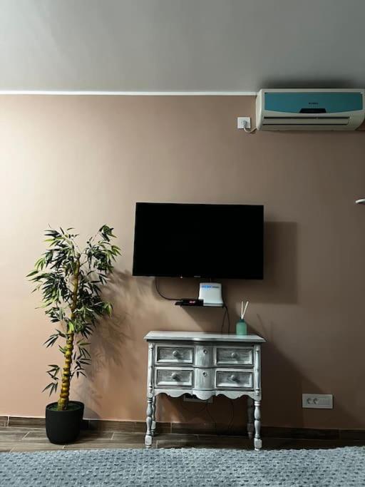 Apartment Squeeze The Day Belgrad